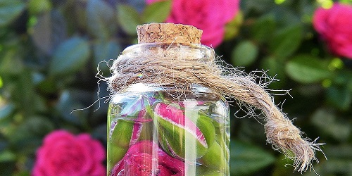 aerzte und Medizin Banner