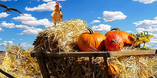 aerzte und Medizin Banner